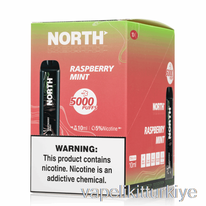 Vape Elektronik Sigara [10'lu Paket] Kuzey 5000 Tek Kullanımlık